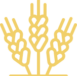ico_1_1
